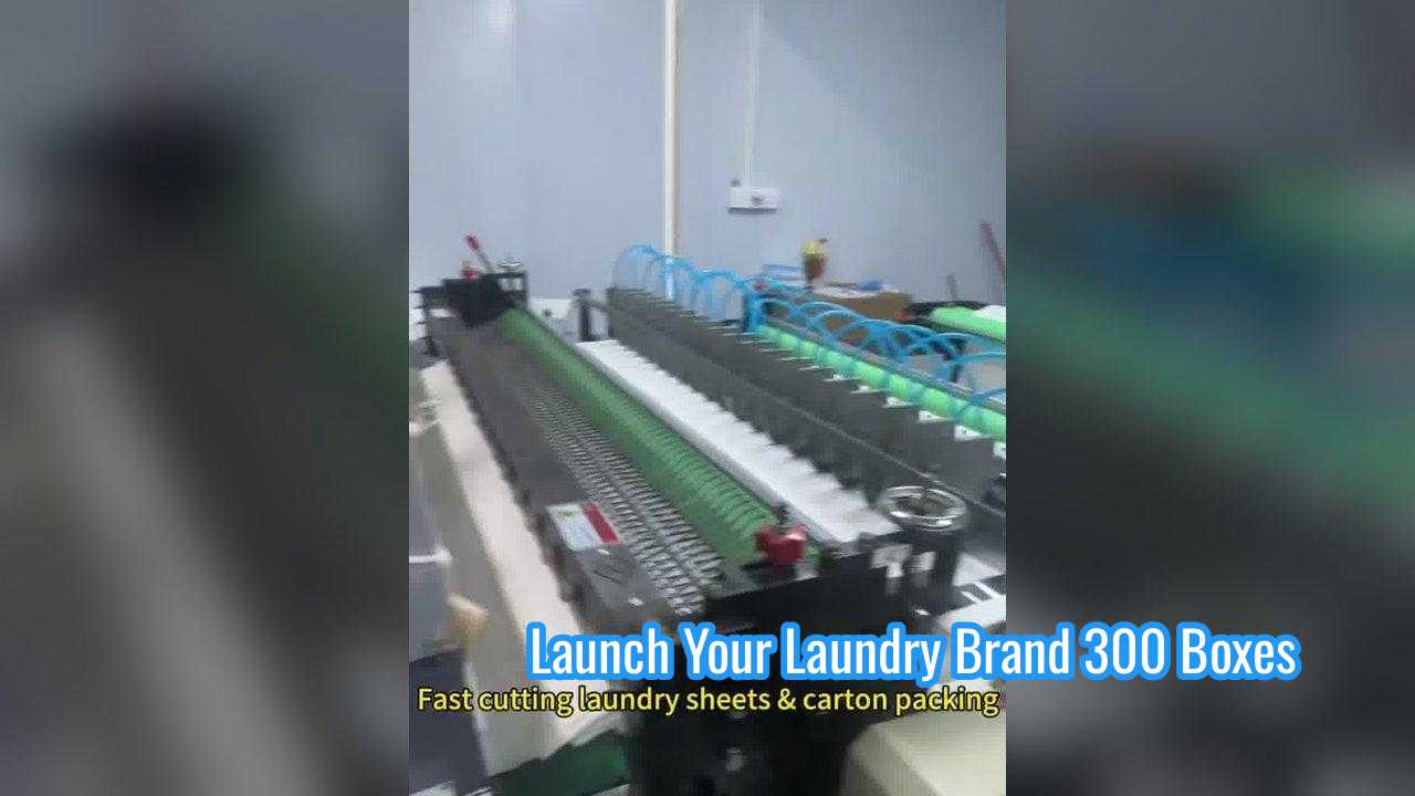 أوراق غسيل الغسيل القابلة للتحلل البيولوجي من النباتات بدون تراكم كيميائي